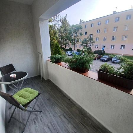 Apartament Lord Stary Toruń 外观 照片